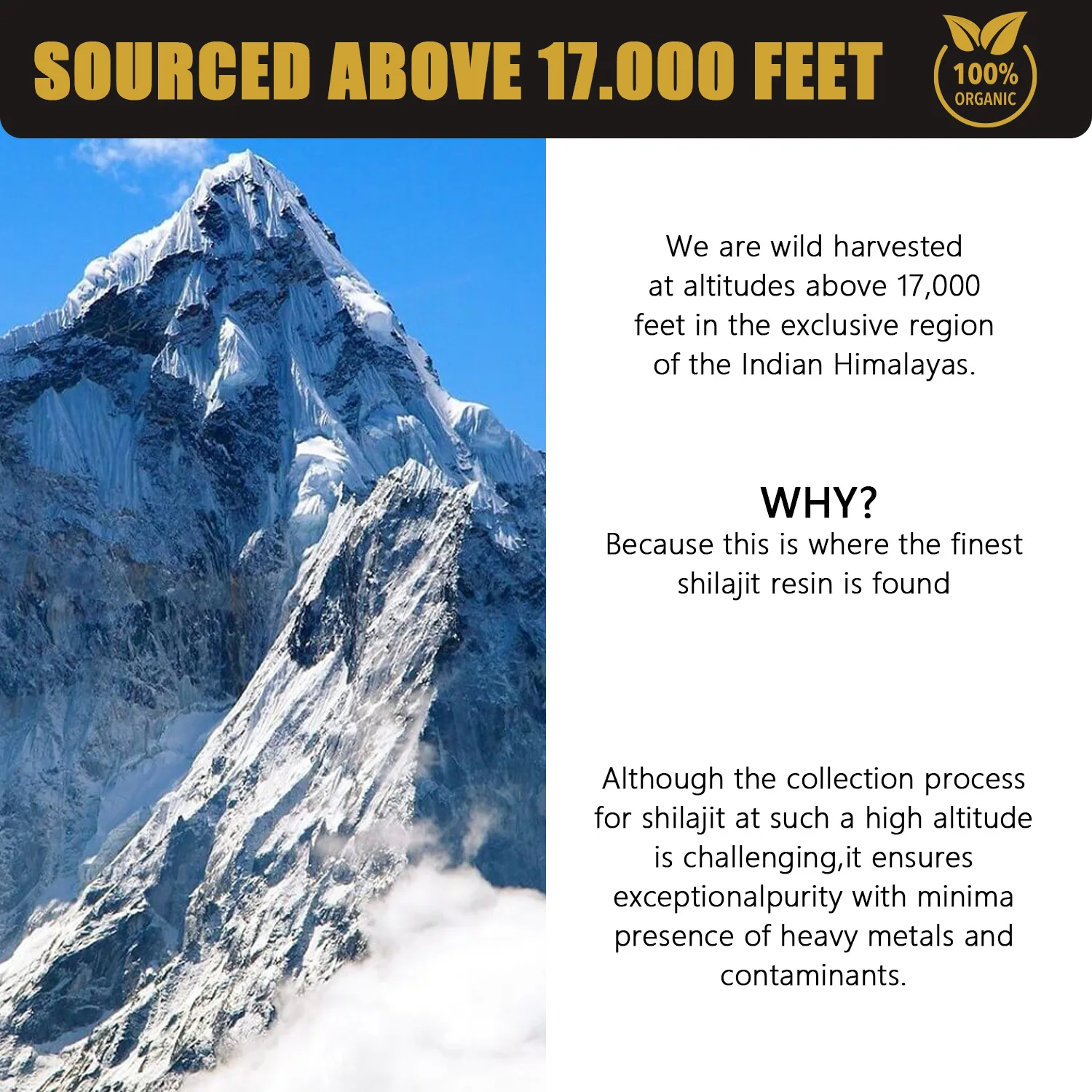 Pure Himalayan Organic Shilaji - Shilajit Resin Pure ulasan dan harga