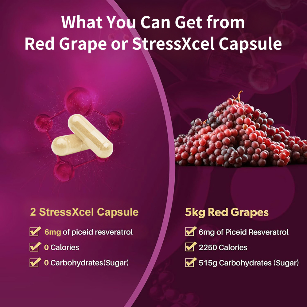 High Potency Resveratrol Suppl - Resveratrol Capsule Anti Aging ulasan dan harga